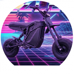 Moto Electrique ETM Rizzler...